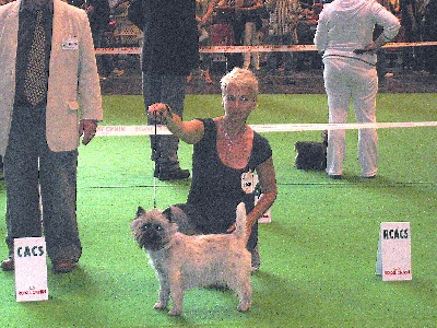 de Cosédia - TYCADNO STARMAN (JAC)championnat de france